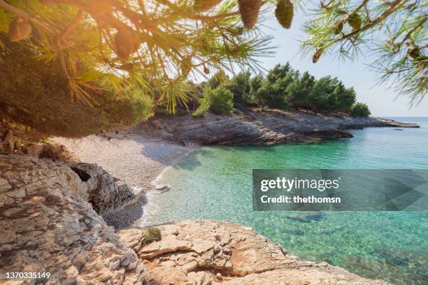 small bay with clear water framed by green pines and sunray, istria, croatia - istria foto e immagini stock