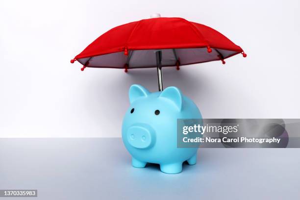 piggy bank red umbrella - business and insurance concept - survival rate stock pictures, royalty-free photos & images