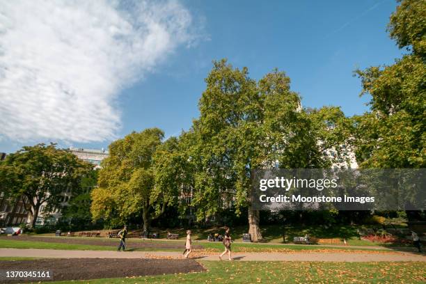 victoria embankment gardens in city of westminster, london - embankment stock-fotos und bilder
