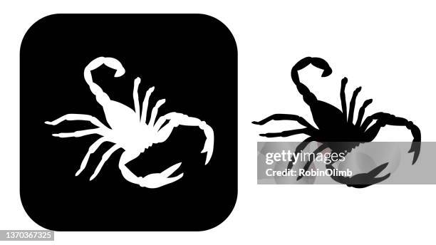 stockillustraties, clipart, cartoons en iconen met black and white scorpion icon - angels