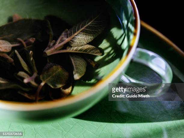 cup of hot sage herbal tea. - tea sage stock pictures, royalty-free photos & images