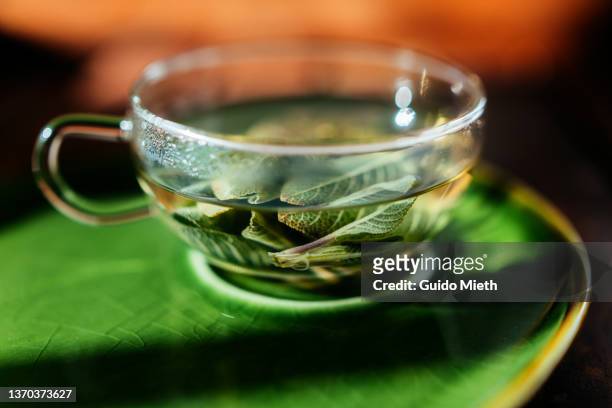 glass of sage tea against sore throat beside on a green plate. - tea sage stock pictures, royalty-free photos & images