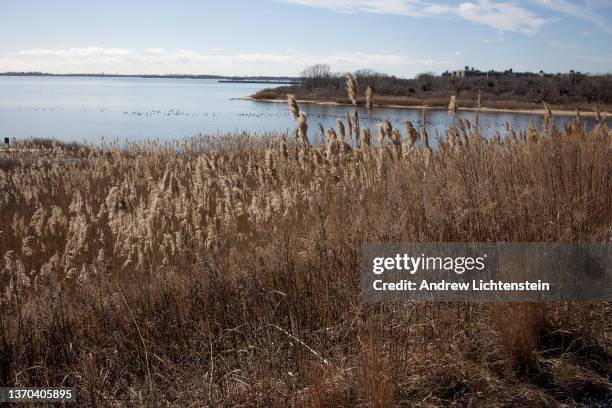 Landscape views of Shirley Chisholm State Park, a recreation area built on top of a former trash dump, February 6 in the East New York neighborhood...