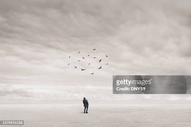 man looks up and watches vultures circling overhead - raven bird stockfoto's en -beelden