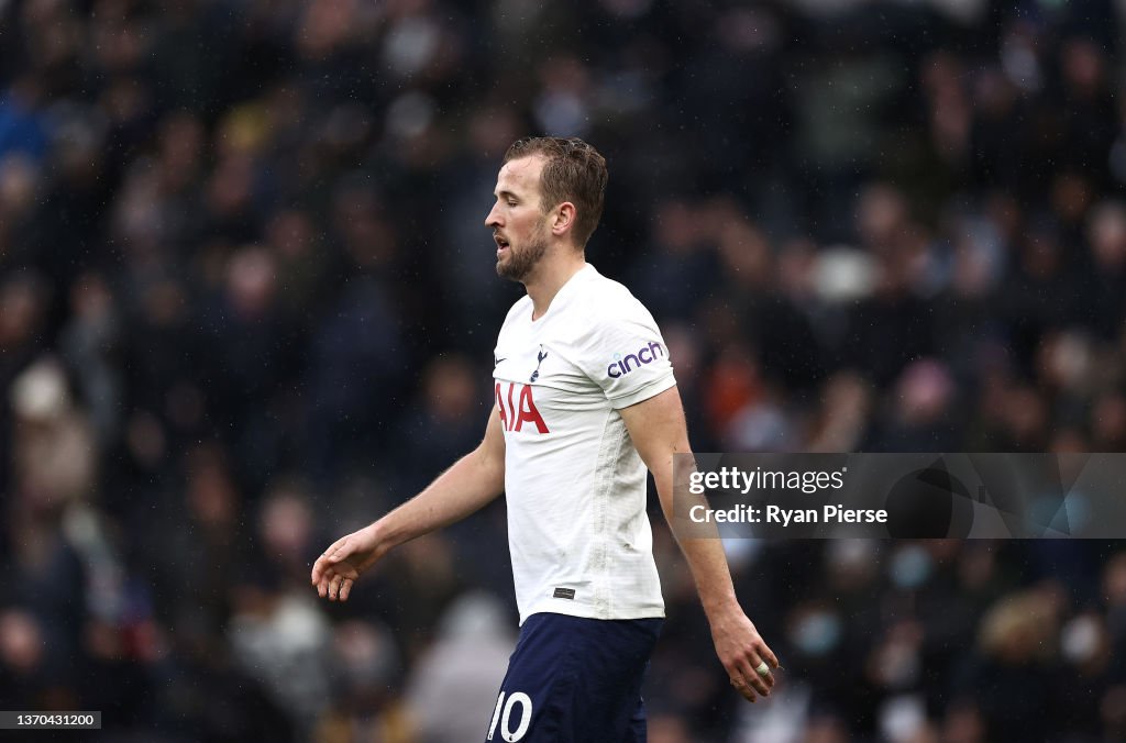 Tottenham Hotspur v Wolverhampton Wanderers - Premier League