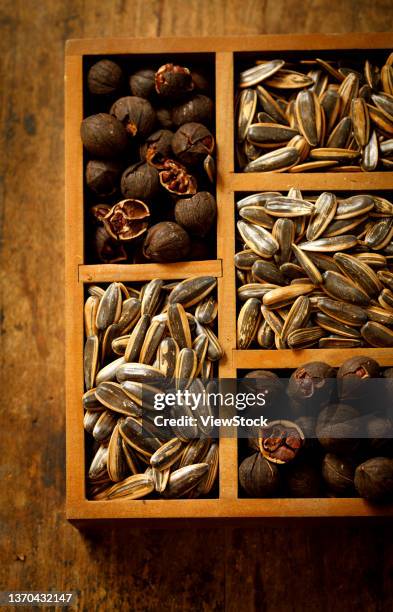 melon seeds - porcelain melon stock pictures, royalty-free photos & images