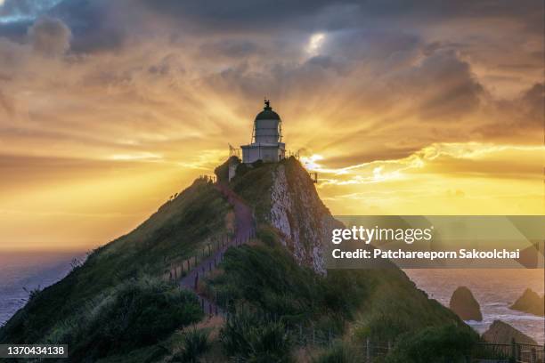 alone long - southland new zealand stock pictures, royalty-free photos & images