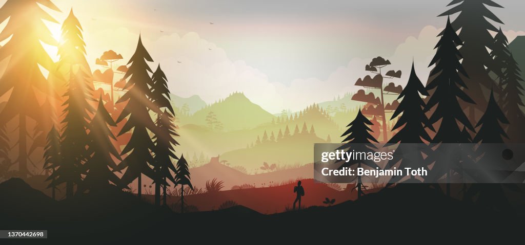 Forest and mountains at sunset background