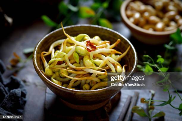 bean sprouts - bean sprout stock-fotos und bilder