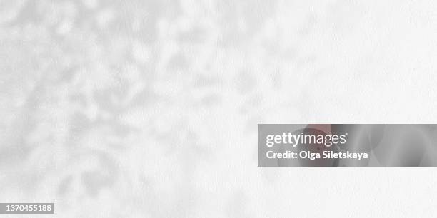 shadows of tree leaves on a white background - ombre photos et images de collection