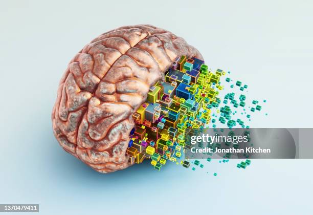 Brain Block Memory Blocks Photos and Premium High Res Pictures - Getty Images