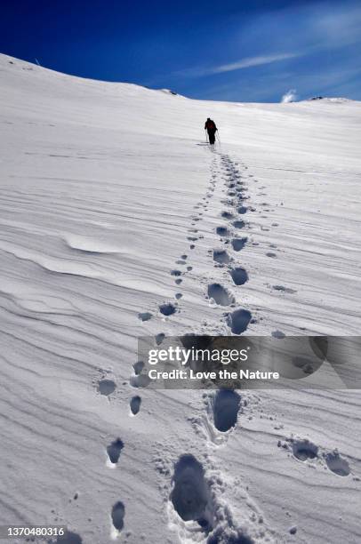 Snow Step Ice Steps Photos and Premium High Res Pictures - Getty Images