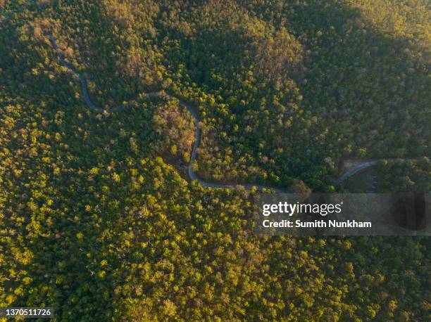 countryside road passing through the green forest and mountain - floresta amazônica imagens e fotografias de stock