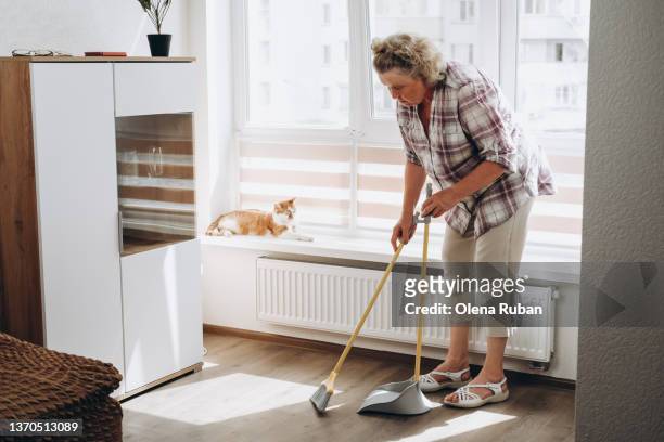 woman sweeping floor in room with red cat. - dustpan and brush stockfoto's en -beelden