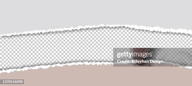 torn paper for background. - page divider stock illustrations