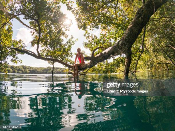 mulher relaxa em uma árvore em um cenote tropical desfrutando da natureza ao máximo - poço - fotografias e filmes do acervo