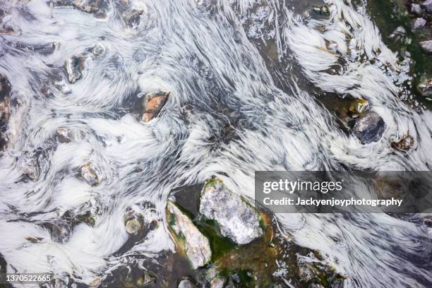 thermophiles, chaeson nationalpark lampang hot spring,heat resistant seaweed - thermophile stockfoto's en -beelden