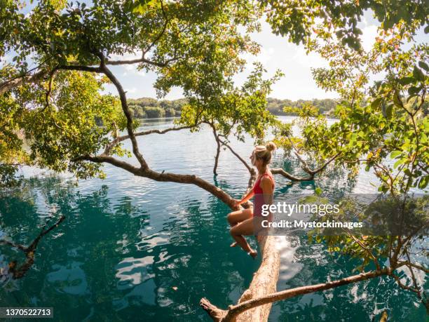 woman relaxes on a tree in a tropical cenote enjoying nature to the fullest - mayan riviera stock pictures, royalty-free photos & images