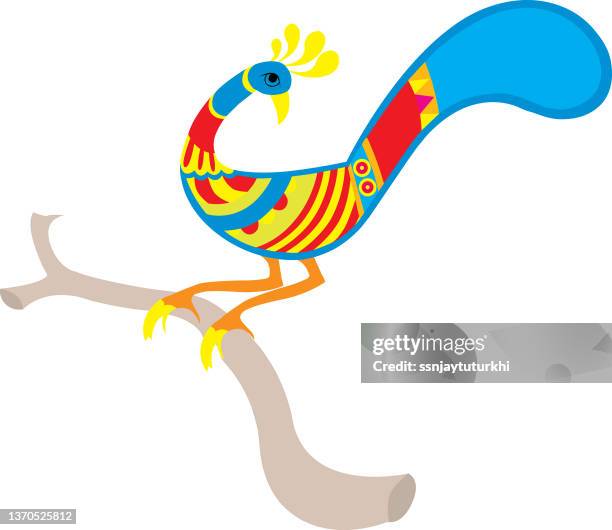 peacock, - peacock feather vector stock illustrations