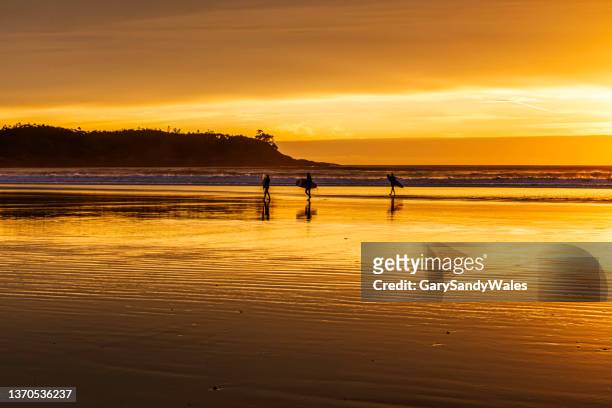 surfer bei sonnenuntergang - long beach britisch kolumbien stock-fotos und bilder