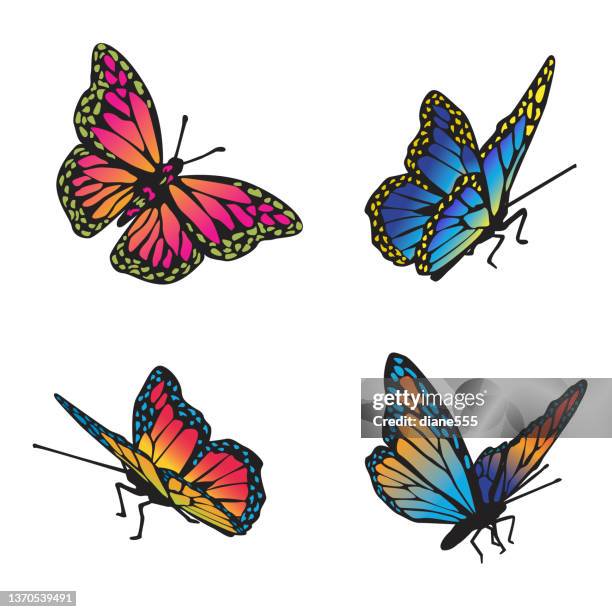 illustrazioni stock, clip art, cartoni animati e icone di tendenza di farfalle al neon su uno sfondo trasparente - farfalle