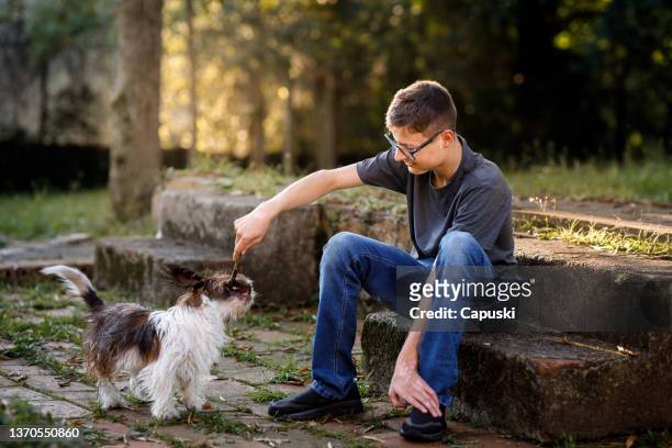 teenage boy with lison syndrome sitting on the stairs playing with dog - i love teen boys stock pictures, royalty-free photos & images