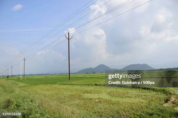 beautiful green fields,scenic view of field against sky,gumla,jharkhand,india - better rural india fotografías e imágenes de stock