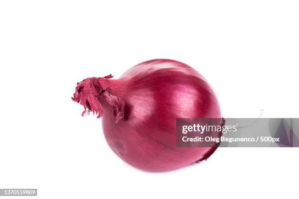 red onion,close-up of onion against white background,moldova - spanish onion fotografías e imágenes de stock