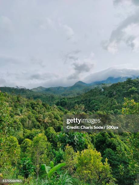 beauty and nature,scenic view of landscape against sky,indonesia - sode stockfoto's en -beelden