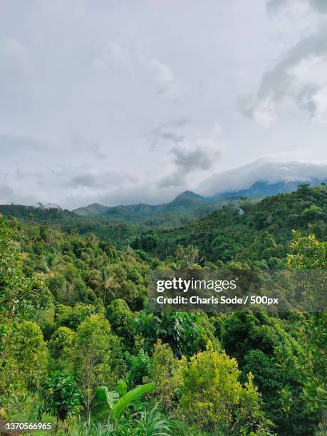 beauty and nature,scenic view of landscape against sky,indonesia - sode 個照片及圖片檔