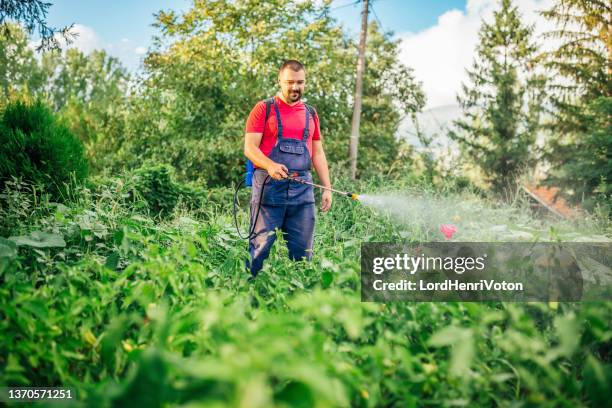 farmer is spraying herbicide on garden - onkruidverdelger stockfoto's en -beelden