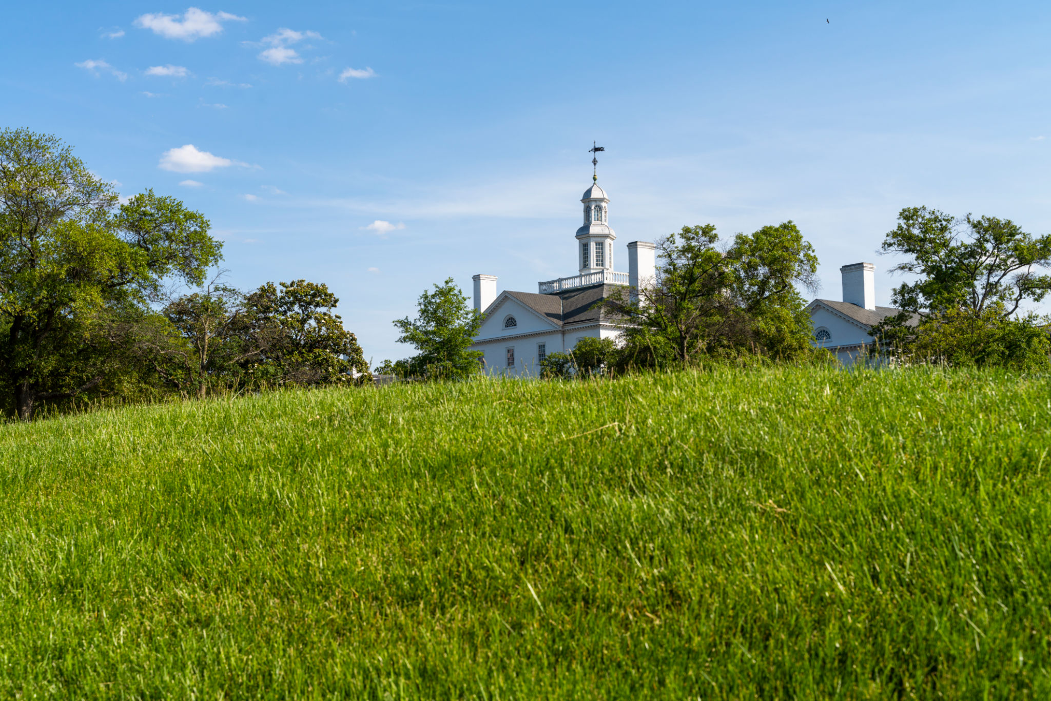 virginia lawn in spring