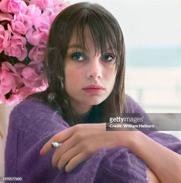 Portrait of English model and actress Jean Shrimpton, in a purple sweater, as she holds a cigarette, sitting in front of a bouquet of pink roses,...
