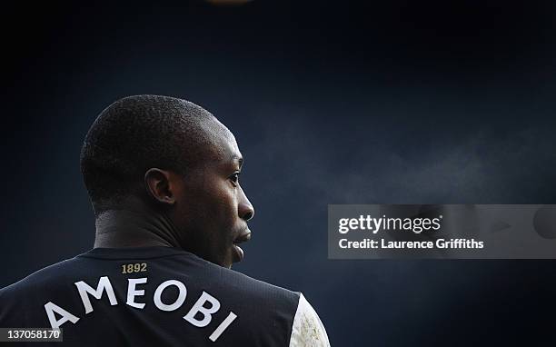 Shola Ameobi of Newcastle United looks on during the Barclays Premier League match between Newcastle United and Queens Park Rangers at Sports Direct...