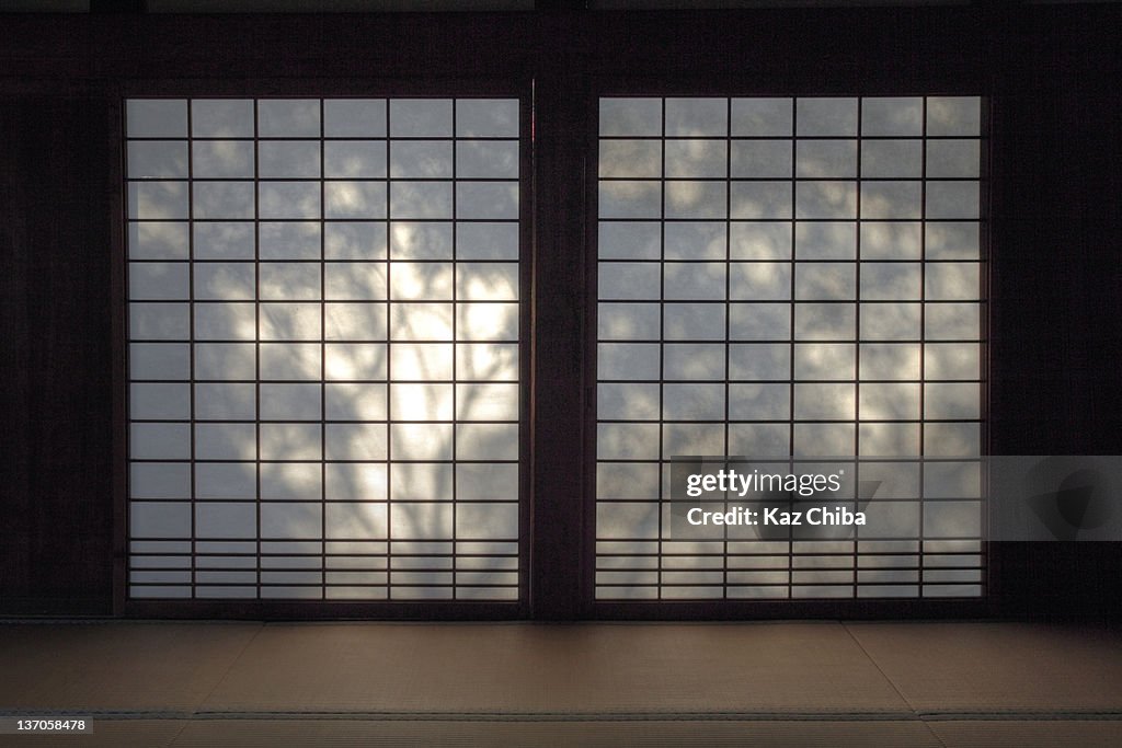 Shadows on Shoji Screen