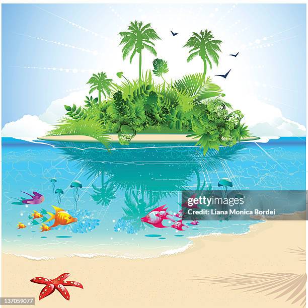 ilustraciones, imágenes clip art, dibujos animados e iconos de stock de tropical dreams - medusa cnidario