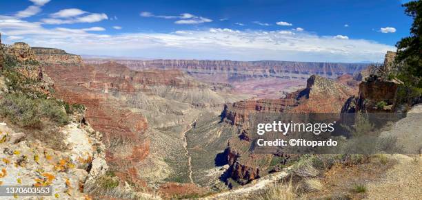 grand canyon national park north rim - grand canyon rim stock pictures, royalty-free photos & images
