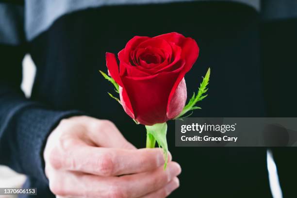 Had Giving Red Roses Man Give Rose Photos and Premium High Res Pictures - Getty Images