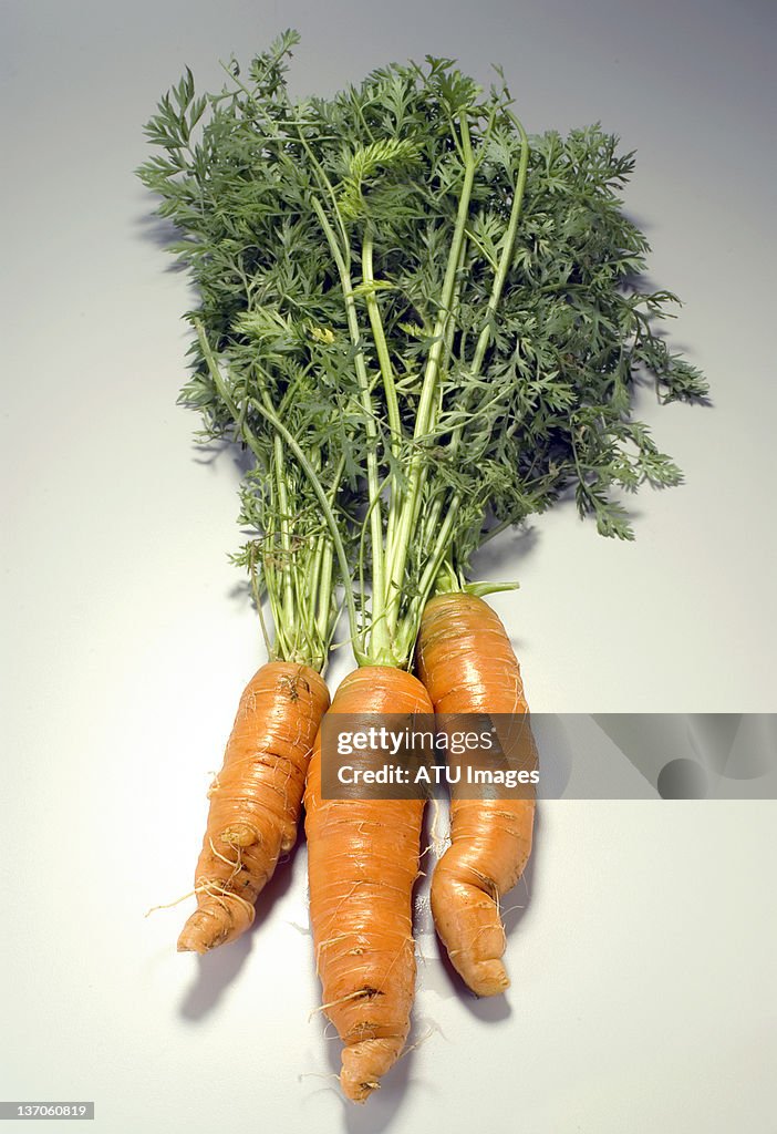 Carrots with tops