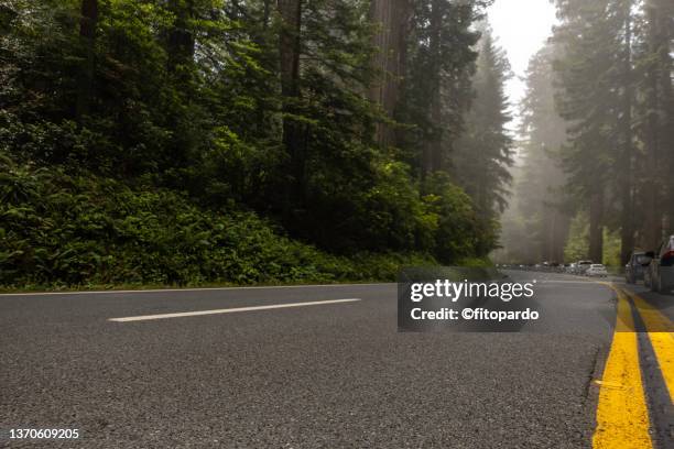 roadblocks in the highway below the giant redwoods - road light trail stock pictures, royalty-free photos & images