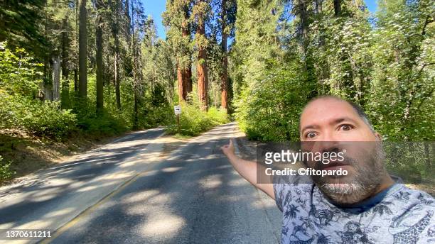 a tourist pointing to the four guardsmen at the sequoia national forest - establishing shot stock pictures, royalty-free photos & images