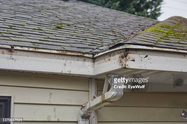 view of a mossy roof line of a house missing gutters - dachrinne stock-fotos und bilder