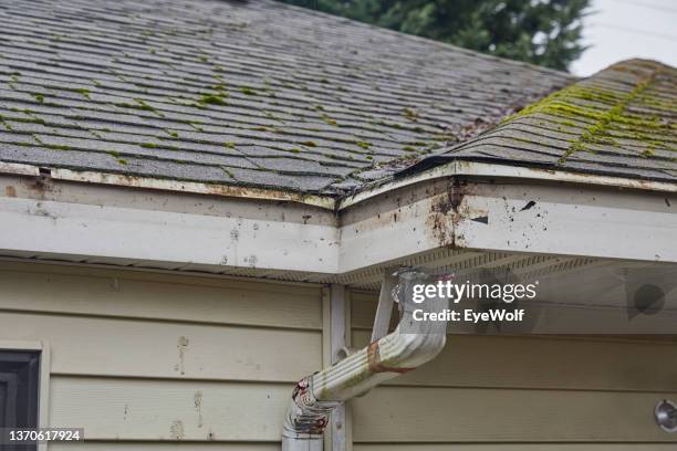 view of a mossy roof line of a house missing gutters - grondaia foto e immagini stock