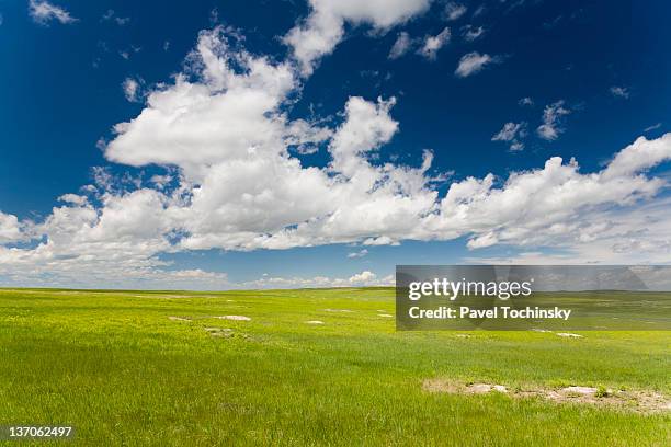 nebraska prairies - grandes planícies imagens e fotografias de stock