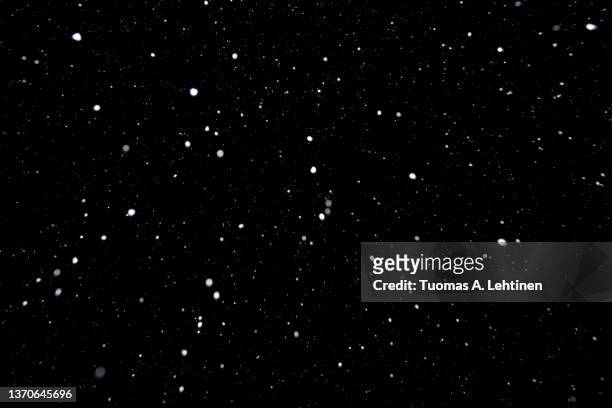 real falling white snow against black night sky in the winter. - snow stock pictures, royalty-free photos & images