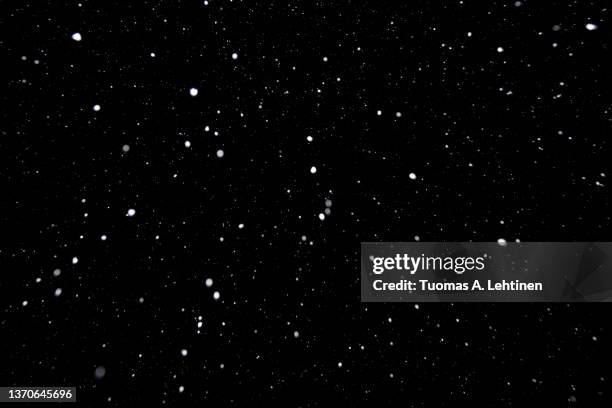 real falling white snow against black night sky in the winter. - neve imagens e fotografias de stock