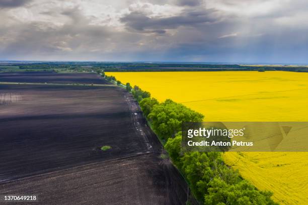 aerial view of green fields in spring. beautiful spring rural landscape - agriculture in ukraine stock pictures, royalty-free photos & images