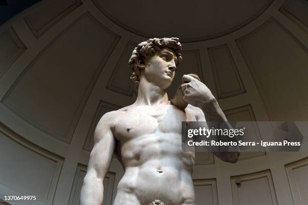 The "David" marble masterpiece by italian rinascimental artist Michelangelo Buonarroti during the "Daniele Da Volterra Bronze Portrait Of...