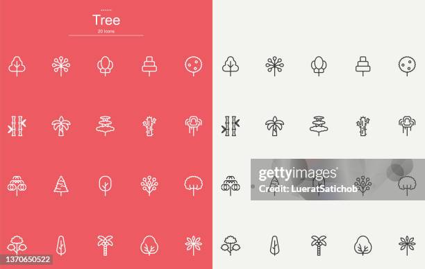 tree line icons design - oak tree vector stock illustrations