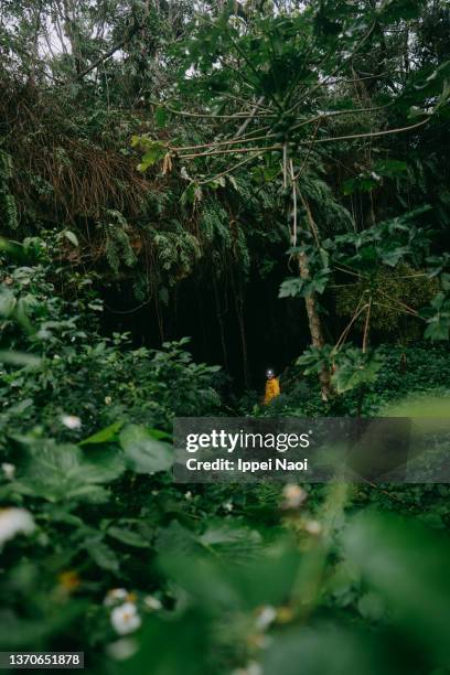 young girl with headlamp going inside jungle cave, okinawa, japan - natural land state stock pictures, royalty-free photos & images